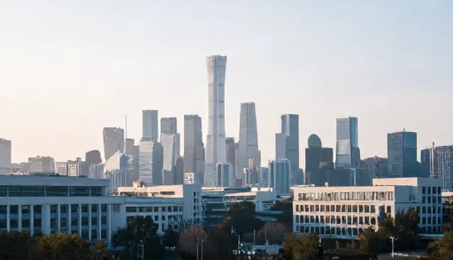 企业名录查询中的异常处理适用情况与限制